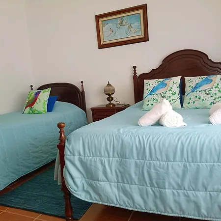 Apartment Casa Afonso- Apartamento